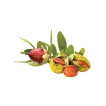 huile pure jojoba (huile végétale) – multi soins naturels