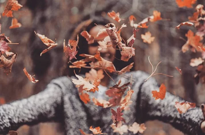 zaitynaturalcosmetics blog cheveux en automne comment en prendre soin