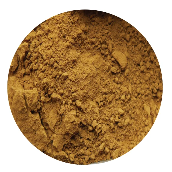 oxyde de fer jaune 10g