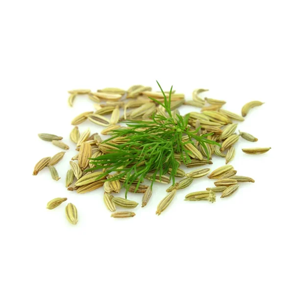 poudre de fenouil vertus purifiantes & régénérantes