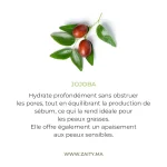 crème peau grasse sebo rÉg 50ml